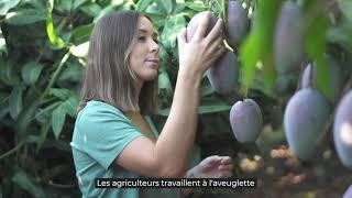 Adoptez un arbre  | CrowdFarming