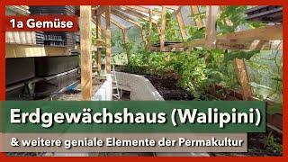 Erdgewächshaus (Walipini), Erdmiete für Lagergemüse & Kleinklima | 1a Gemüse | Rundgang 4 | 2023