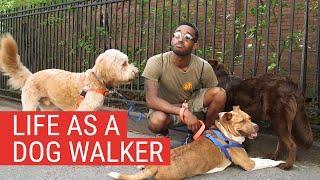 Making It in NYC as a Dog Walker | My Everyday Hustle | Chasing the Dream PBS