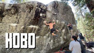 Hobo V8 - Saddle; Tahoe