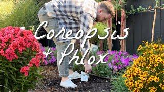 Planting A New Coreopsis & Hardy Phlox!  || Visit Our Garden