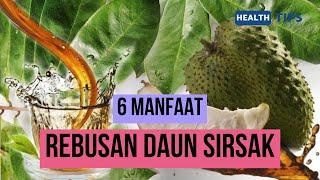 TIPS SEHAT | 6 MANFAAT DAUN SIRSAK YANG SUDAH DIREBUS BAGI KESEHATAN