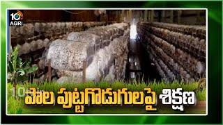 పాల పుట్టగొడుగులపై శిక్షణ..Milk Mushroom  | Matti Manishi | 10TV News