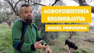 Introducción a la AGROFORESTERÍA REGENERATIVA y la Agricultura SINTRÓPICA con Angel Perurena