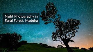 Night Photography in Fanal Forest, Madeira