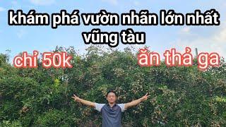 VƯỜN NHÃN HÒA THUẬN VŨNG TÀU / với nhiều loại trái khác nhau / tha hồ cho các bạn ăn uống trãi ngiệm