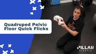 Quadruped Pelvic Floor Quick Flicks