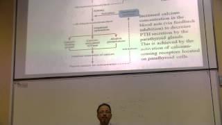 Physiology 10th lec Dr. Seraj