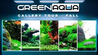 GREEN AQUA Gallery Tour 2024 Fall | Cinematic