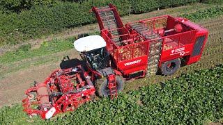 Vervaet Q-616 sugar beet harvester with turbine primary cleaning system