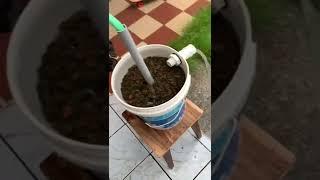 Fish pond mechanical filter diy