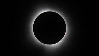 Total Solar Eclipse - April 8, 2024 - Albion, IL