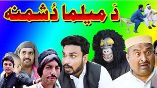 Swat SK VINES, New funny khaka, meelma Taba de 