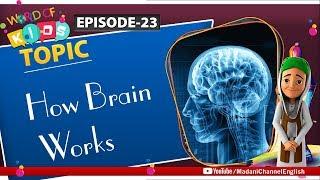 How Brain Works - World of Kids Episode 23 | Madani Channel English