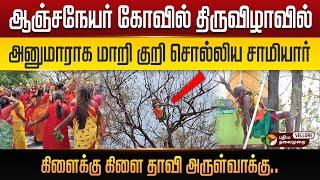 ️ஆஞ்சநேயர் கோவில் திருவிழாவில் அனுமாராக மாறி குறி சொல்லிய சாமியார் ! PT Vellore