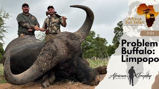 Hunting Problem Buffalo: Africa Sun Safaris