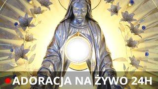 EWTN Polska | Adoracja z Niepokalanowa