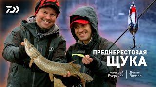 DAIWA CRUSADER GEKIATSU - КОМПАКТНАЯ И ТЯЖЕЛАЯ. Алексей Буераков x Денис Вихров