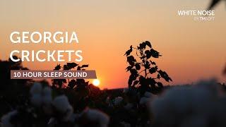 Georgia Summer Evening Crickets & Katydids - 10 Hours Sleep Sound - Black Screen