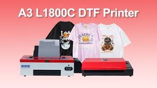 EPSON  A3 L1800 DTF  Printer