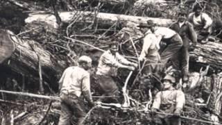 The West Coast Logging Legacy