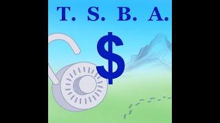 TSBA Episode 4, Risk Ranking: Top 10 Investments (Safest to Wildest)