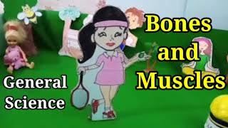 Bones and Muscles | Bone and Muscles for kids | General Science Class 2