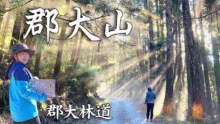 郡大山/自駕難嗎? ~如詩如畫般的郡大林道，美哉!|CP值超高的百岳