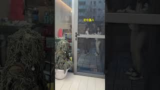伪装成一棵树整蛊妹妹，结果妹妹当场怀疑人生竟要揍我？【两只马儿—恶搞姐妹】