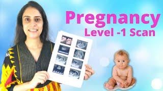 Pregnancy Level 1 Scan | Paani pekar jana chahiye?