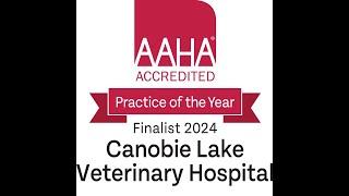 Canobie Lake Animal Hospital 2024 AAHA Accredited Practice of the Year Finalist