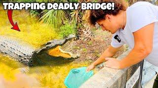 I Found Exotic FISH HIDDEN Under DEADLY BRIDGE!