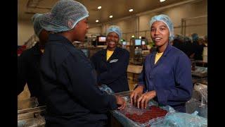 Inside the Opening of Lotus Bakery’s Second Factory in Wolseley – Stories from the factory floor