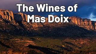  Meet the Maker: Valenti Llagostera on Mas Doix & Priorat 