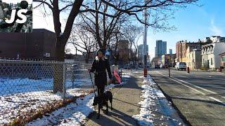 Below Zero on Jones Ave & Dundas East | Toronto Walk (Dec 2022)