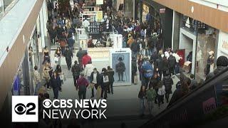 Shoppers pack Long Island's Roosevelt Field Mall for Black Friday