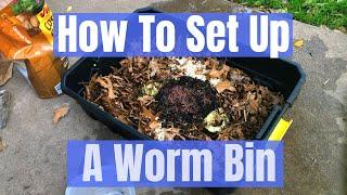 How to set up a composting worm bin with Red Wigglers