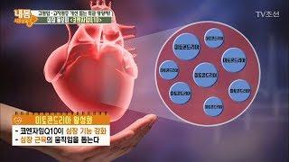 피부에만 좋은 줄 알았던 코엔자임Q10의 또 다른 효능! [내 몸 사용설명서] 208회 20180609