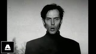 Peter Murphy - All Night Long HD