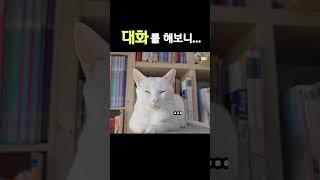 엄마라고? 말하는 고양이와 대화를 해봤더니 #shorts