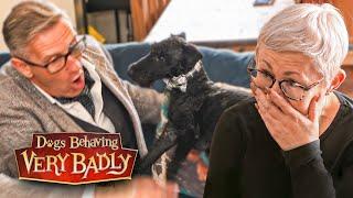 My Dog Has DESTROYED My Love Life! | Dogs Behaving Very Badly