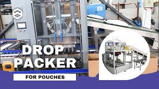 WIN-WIN PACK High-efficiency Automatic Drop Packer for Pouches/Bag Packing Machine/Case Packer