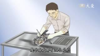 【減塑行動。拯救海洋】海洋生物偵查庭-2 塑誰殺了信天翁？