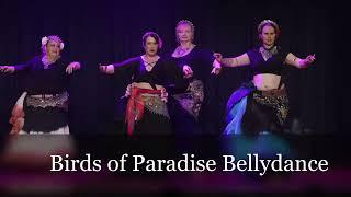 Birds Of Paradise Belly Dance Fan Adventures 2023 BOPBD