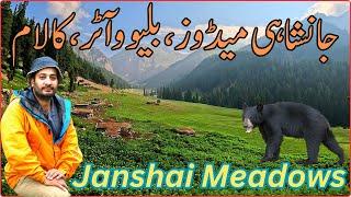 Janshai Meadows Swat Valley | Blue Water Janshai Meadows | Janshai Meadows-Hidden Gem Of Swat Valley