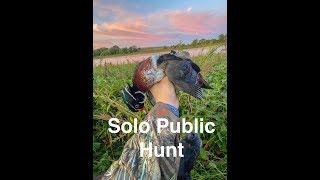 COSTLY Rookie Mistake- The Search for Iowa Wood Ducks (Public Land)