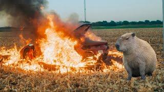 Gort Destroys WhistlinDiesel’s Ferrari (we’re bankrupt)