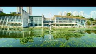 香港濕地公園 Hong Kong Wetland Park （繁體中文 / English）