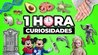 ¡1 HORA De DATOS CURIOSOS y SORPRENDENTES Del Mundo! | ⏰#30