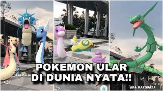 Kamu suka Ular?? Ini dia beberapa Pokemon ular yang bisa kamu Pelihara!! 